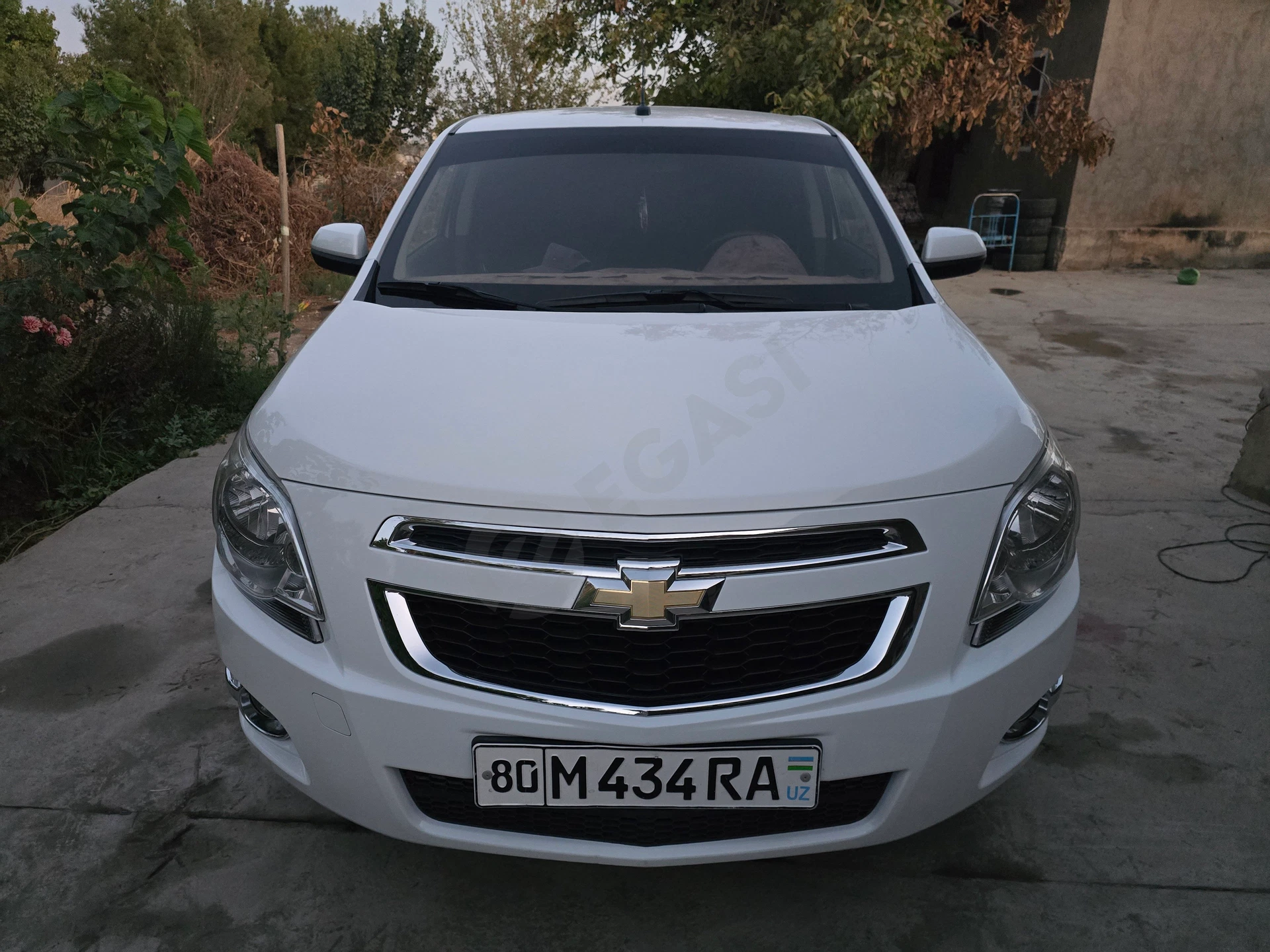 Image 2