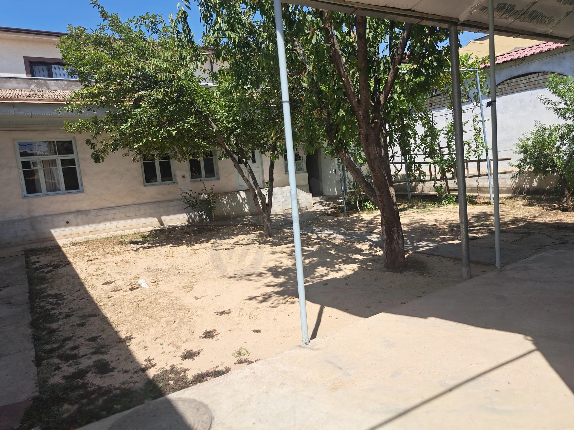 Image 6