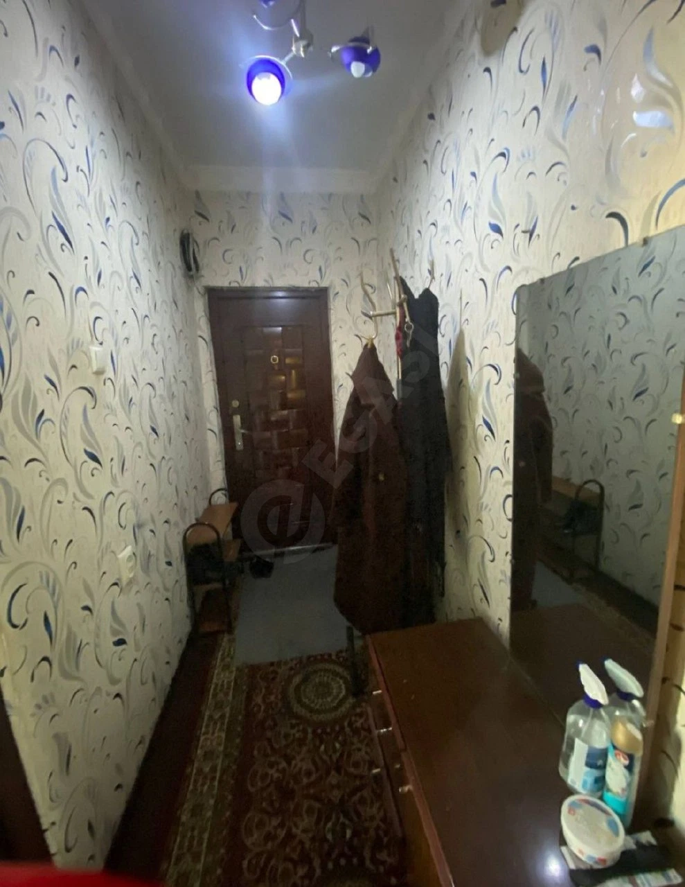 Image 7