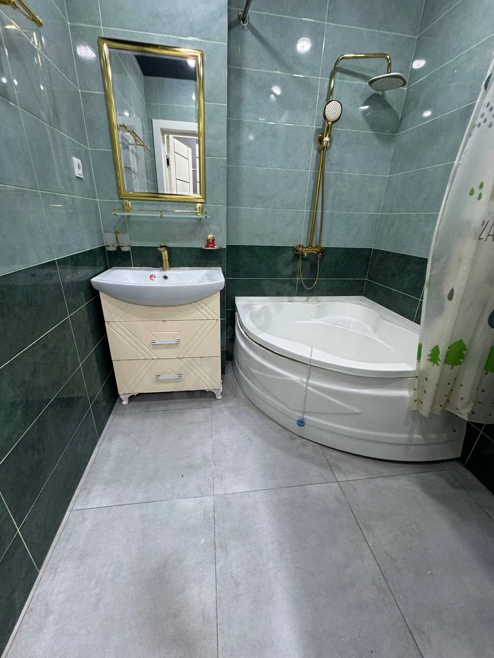 Image 7