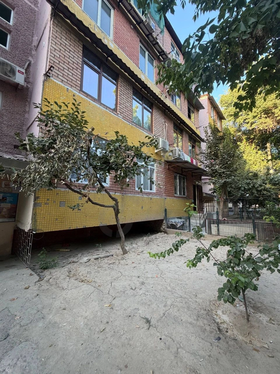 Image 8