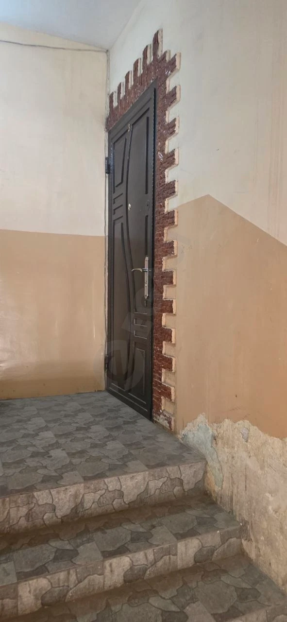 Image 8