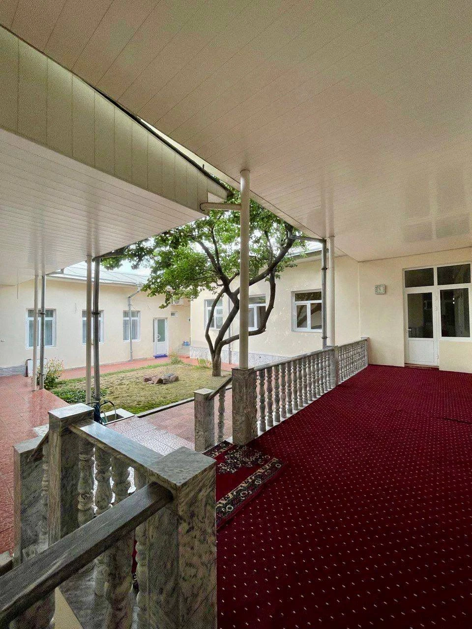 Image 7