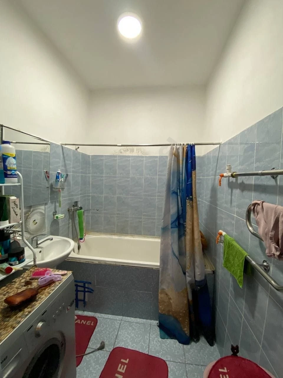 Image 7