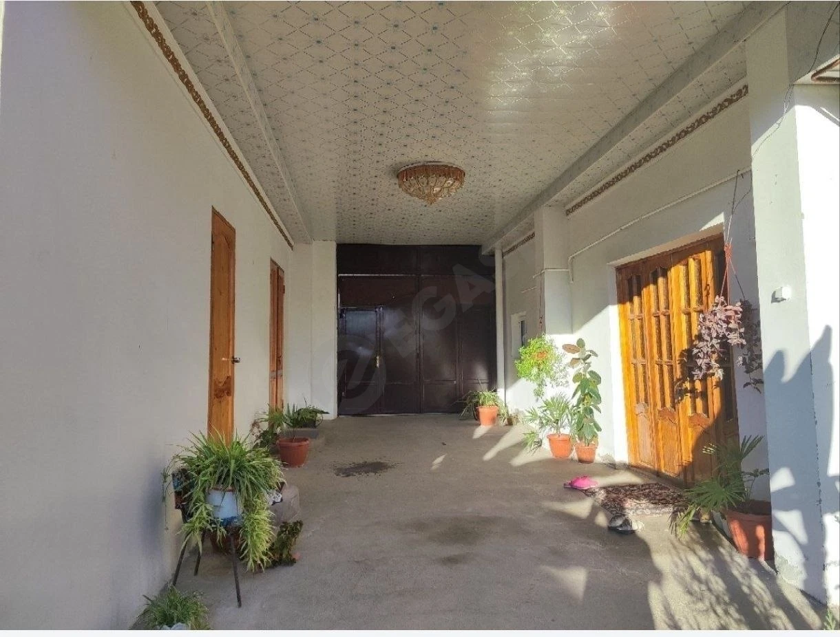 Image 7