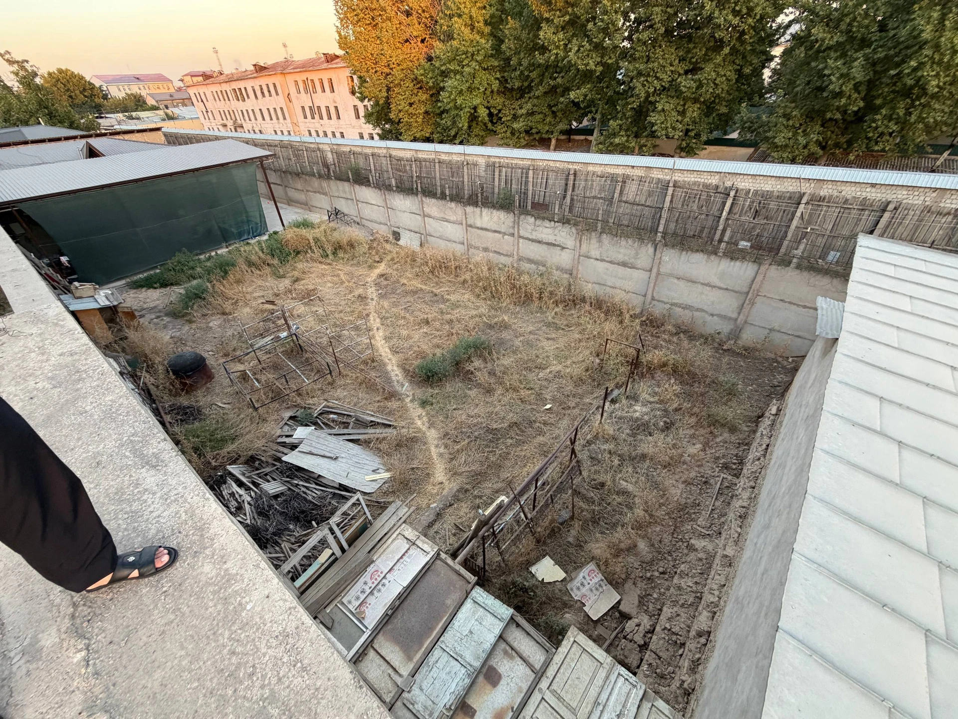 Image 4
