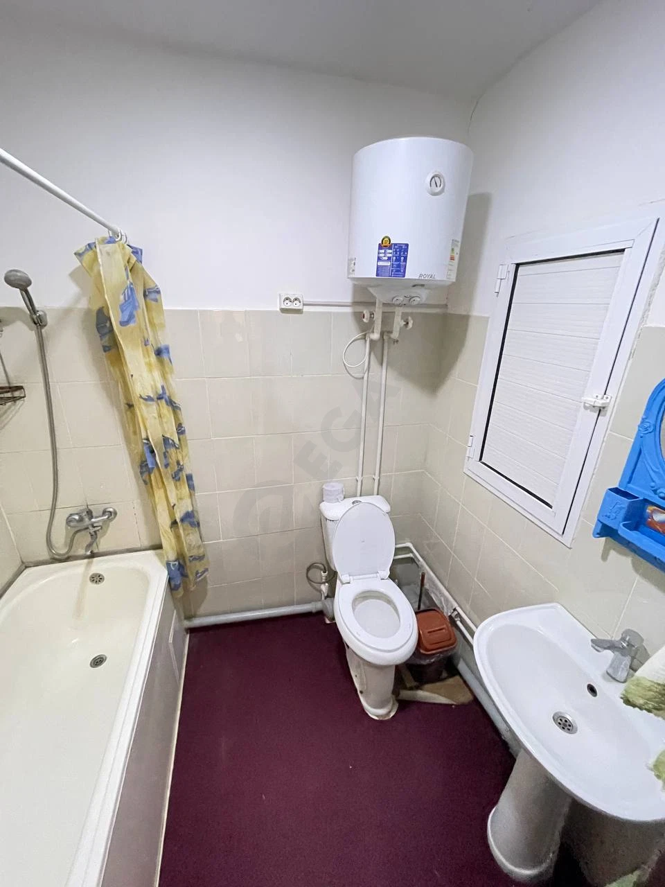 Image 7