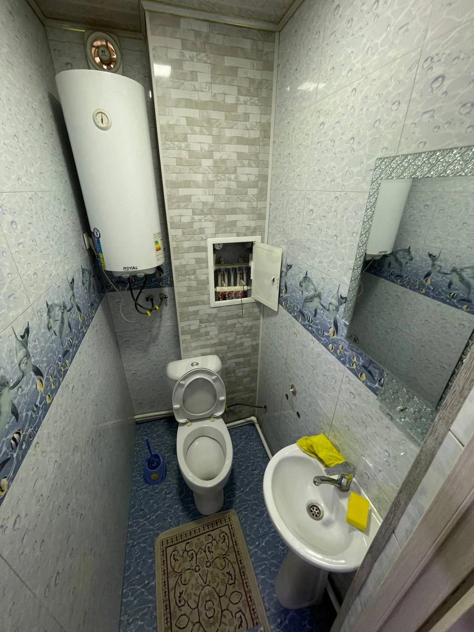 Image 5