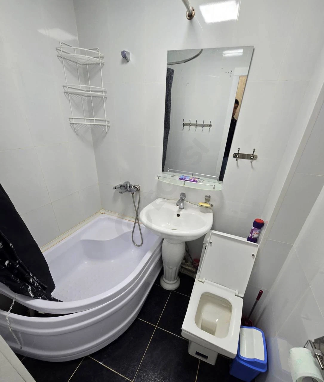 Image 7
