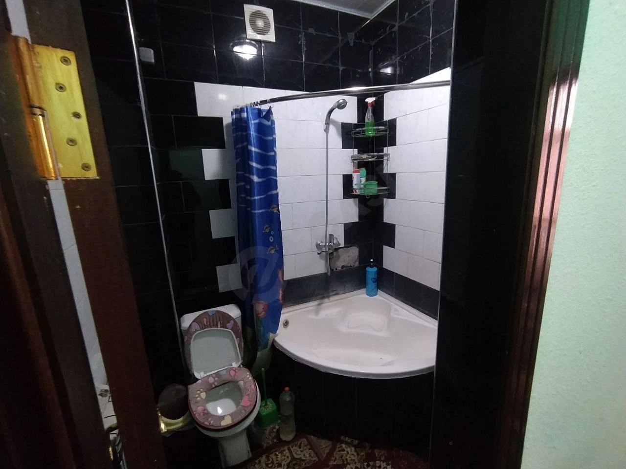 Image 5