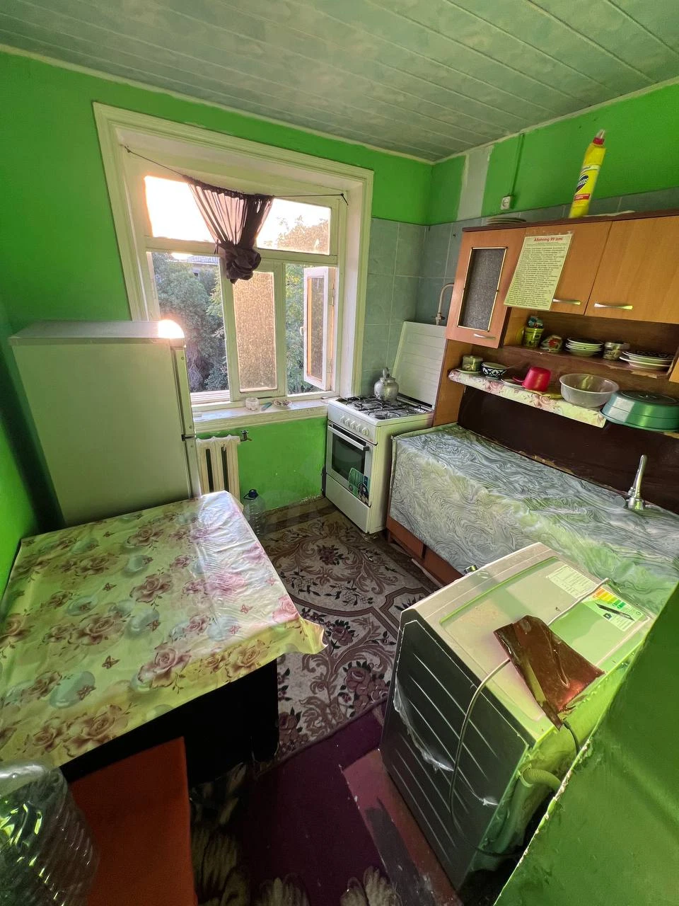 Image 6