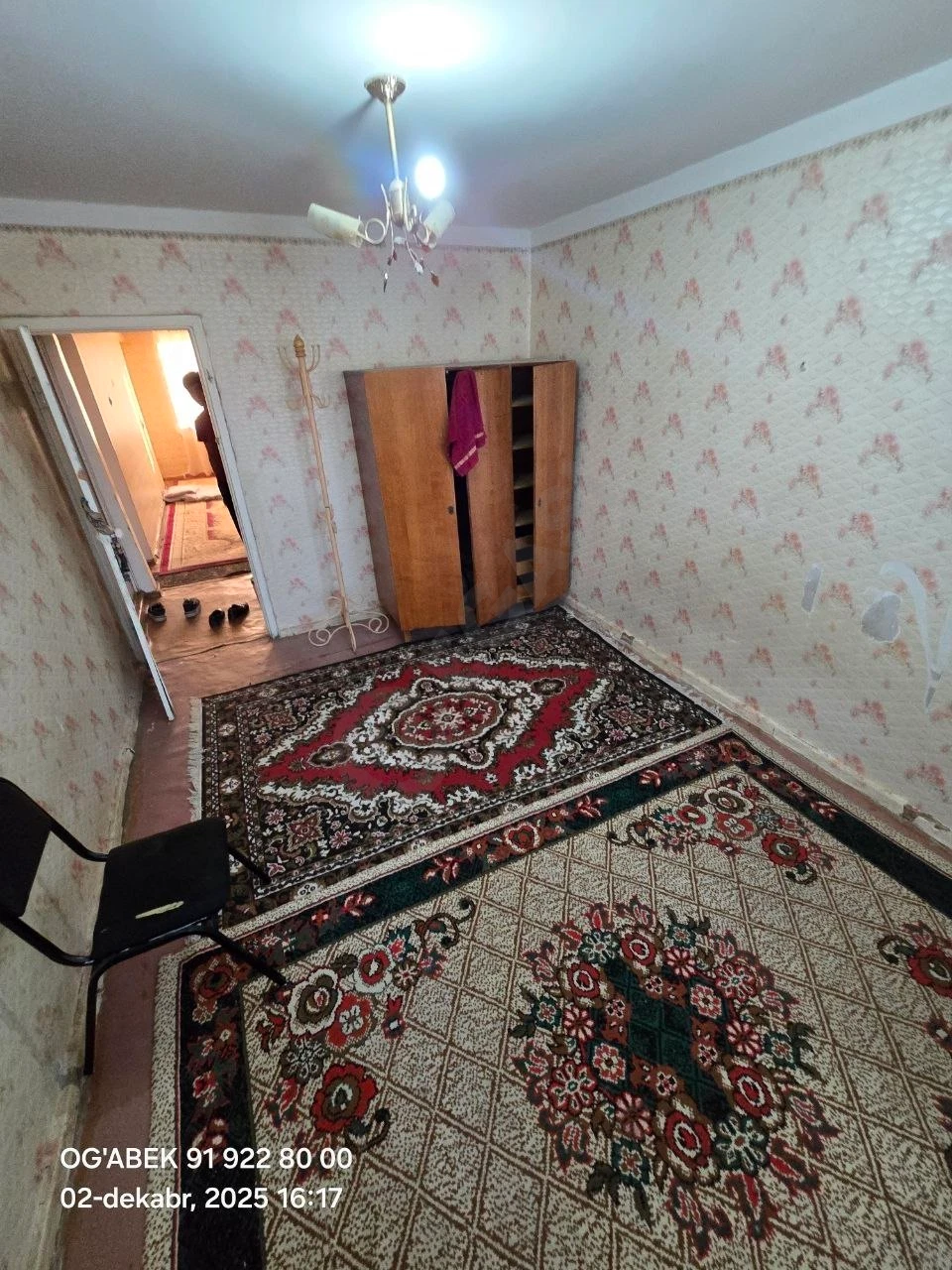 Image 5