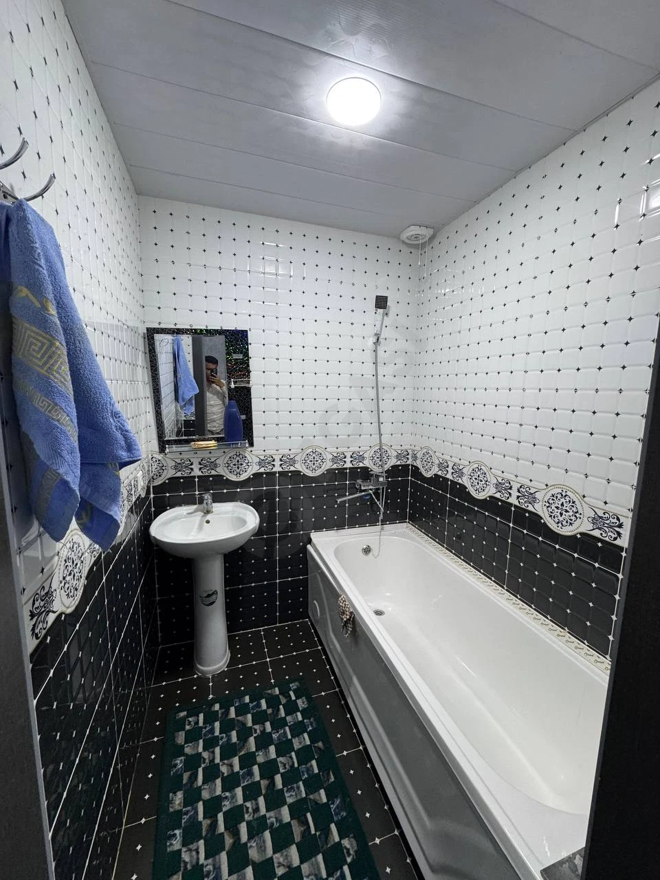 Image 5