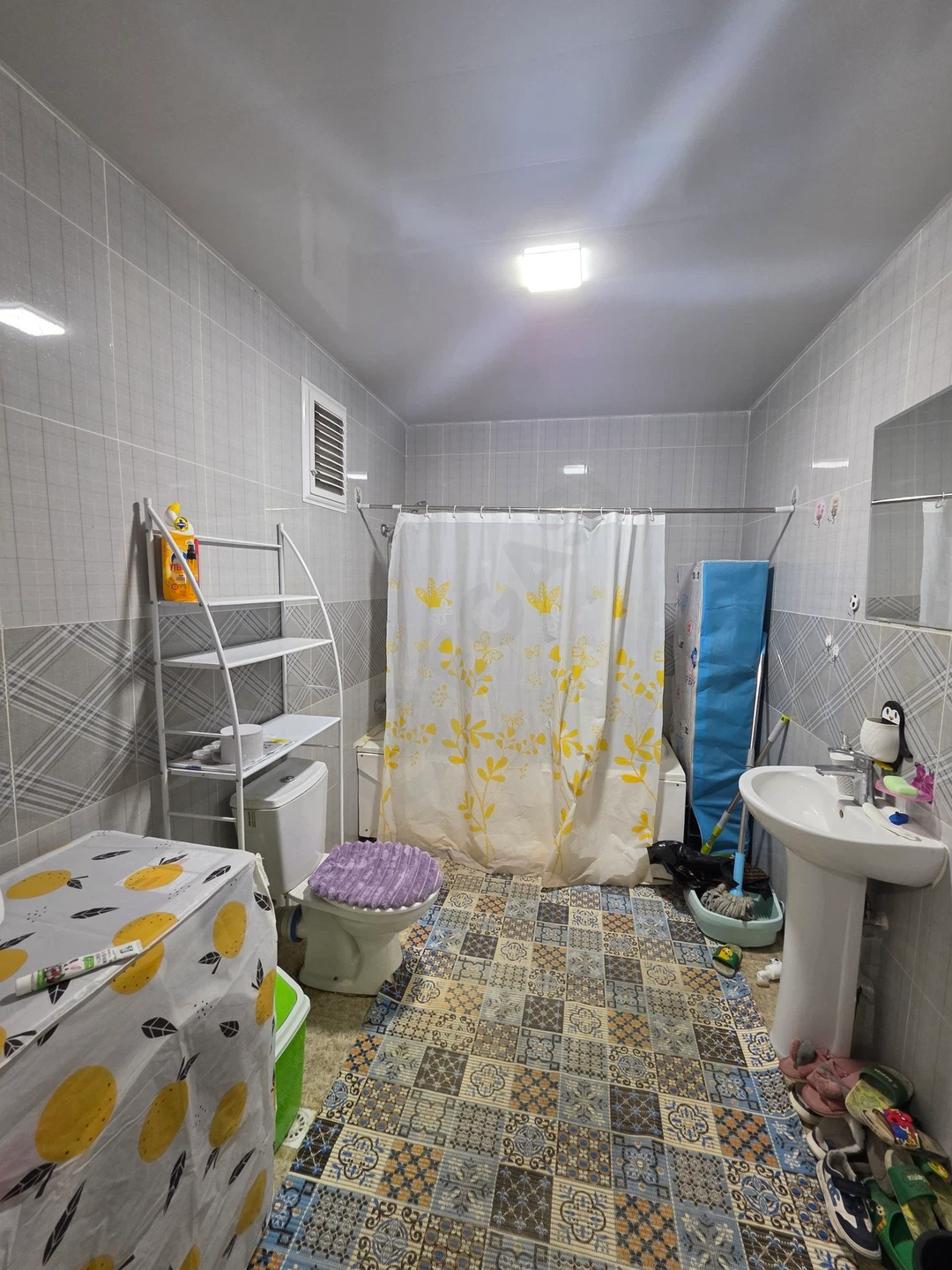 Image 8