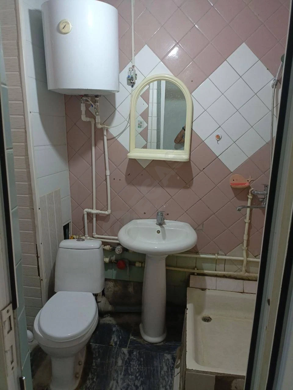 Image 5