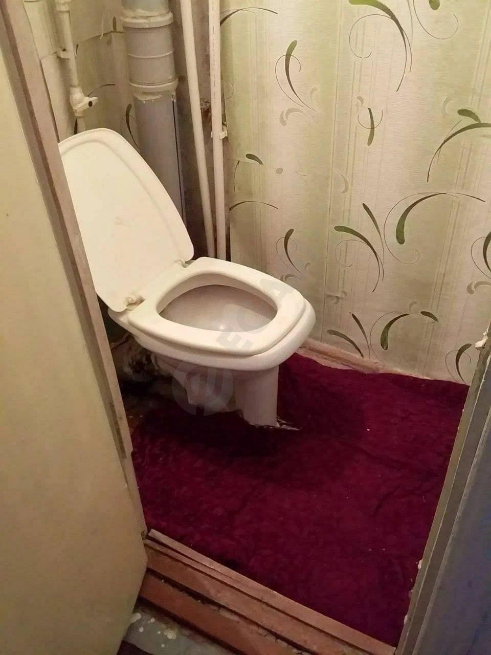 Image 6
