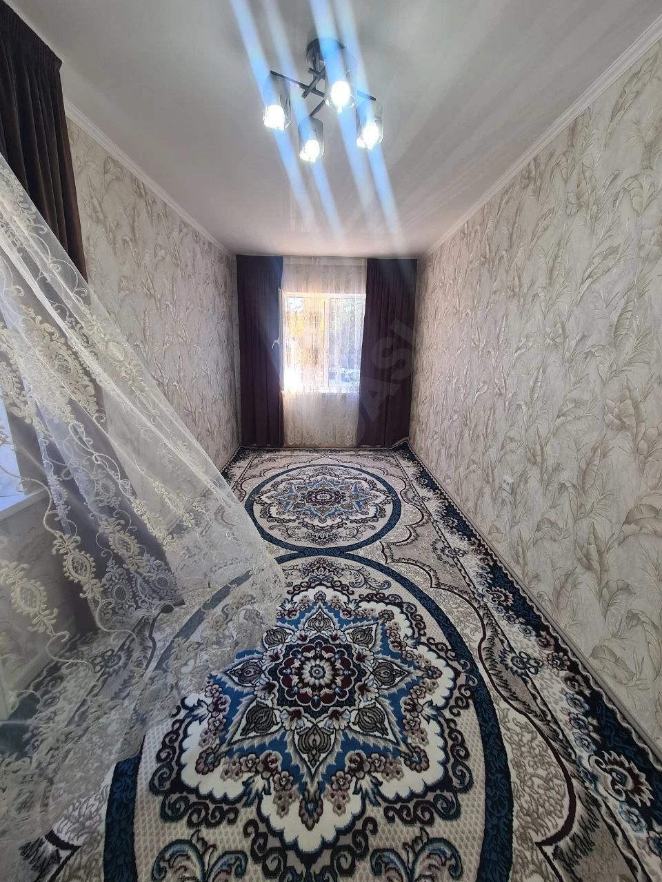 Image 8