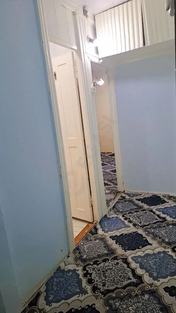 Image 6