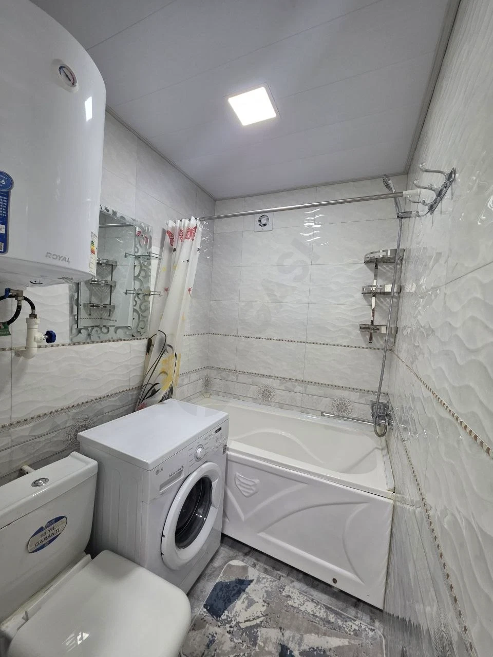 Image 5