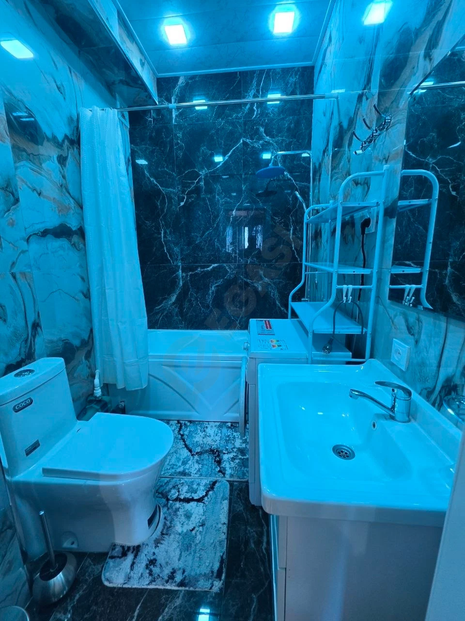 Image 8