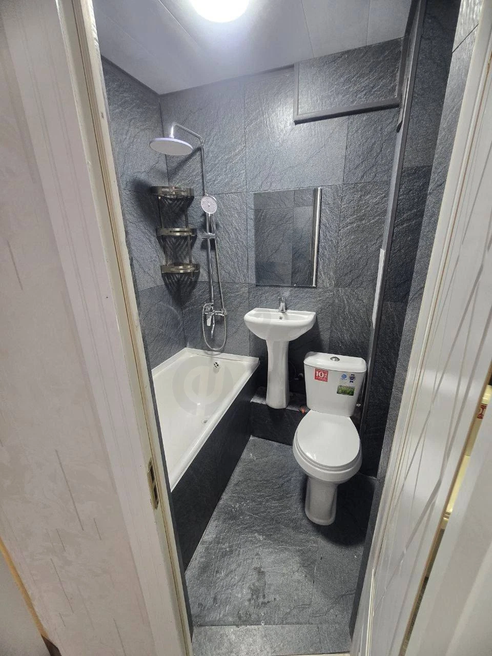 Image 6