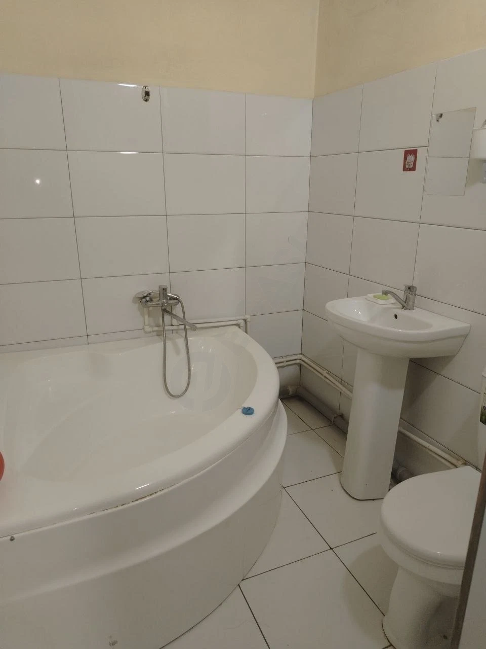 Image 5