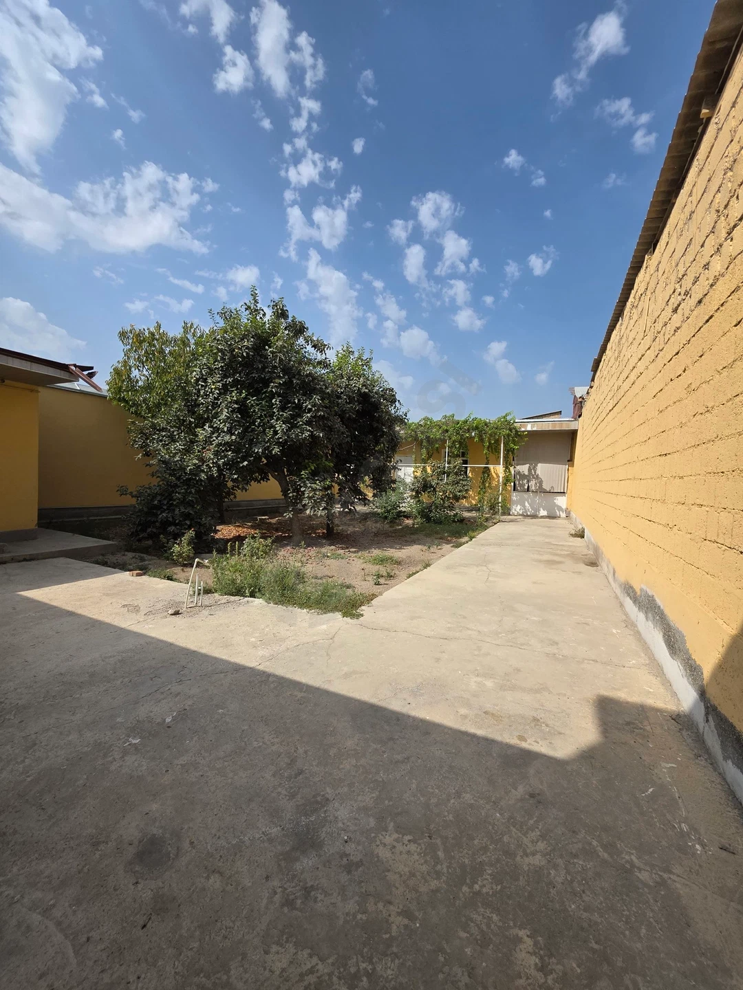 Xovli uy Samarqand - Cover Photo