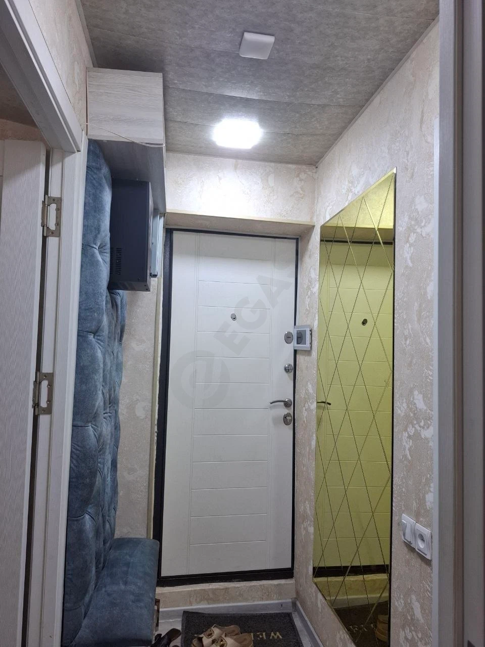 Image 5