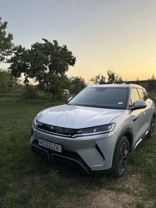 BYD Yuan Up 2024 - Cover Photo