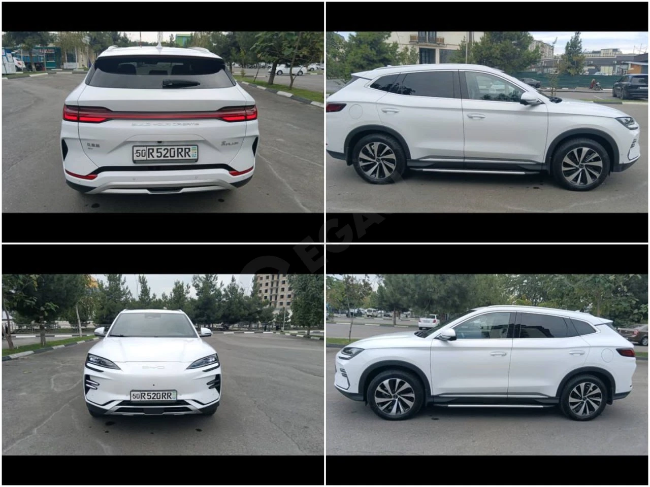 BYD Champion 2023 - Cover Photo