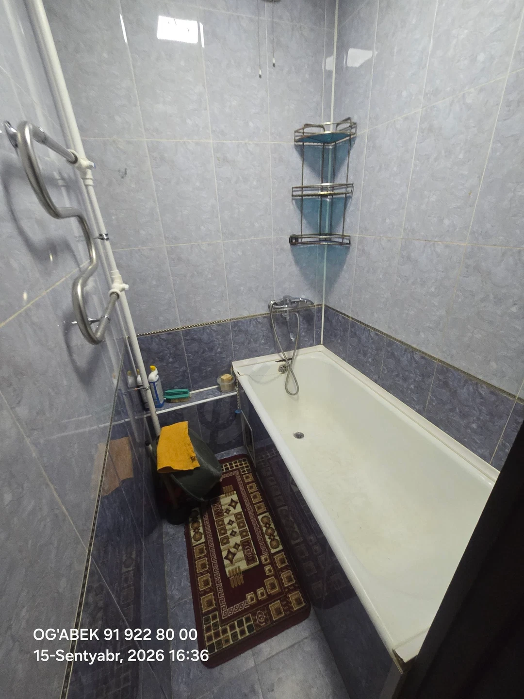 Image 7