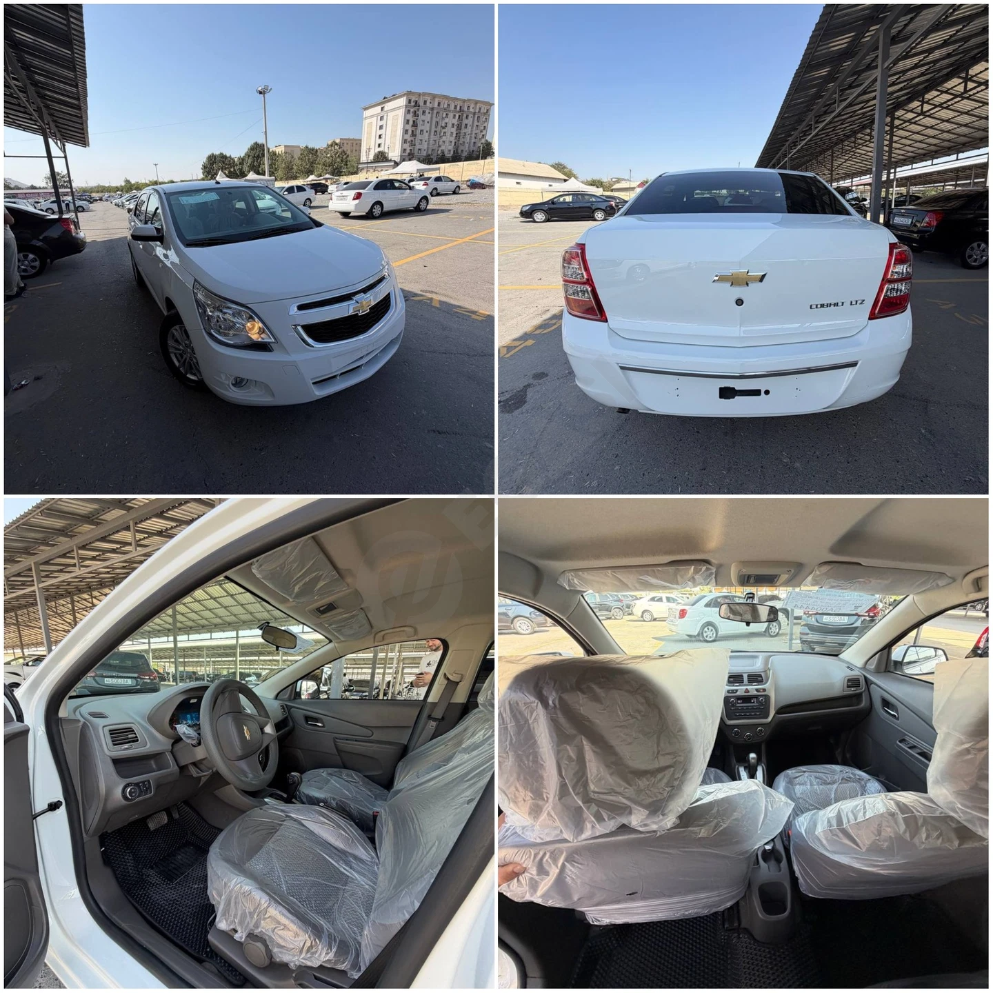 Chevrolet Cobalt Style 2025 - Cover Photo