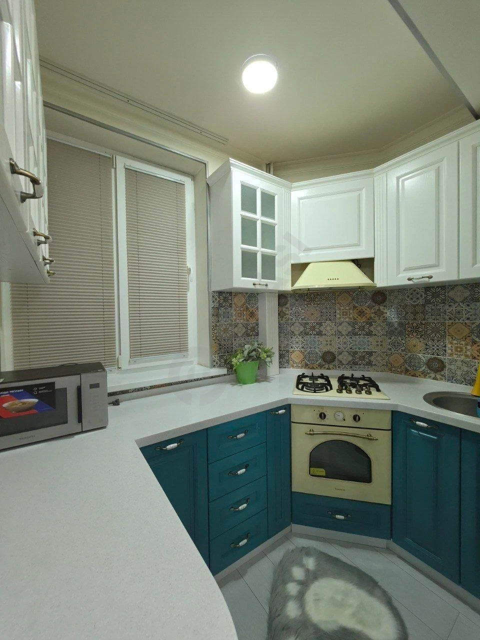 Image 7