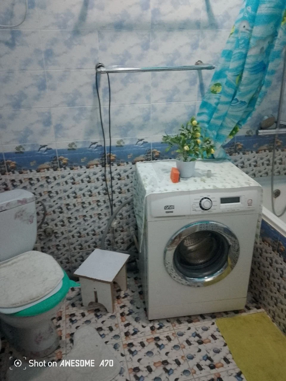 Image 5