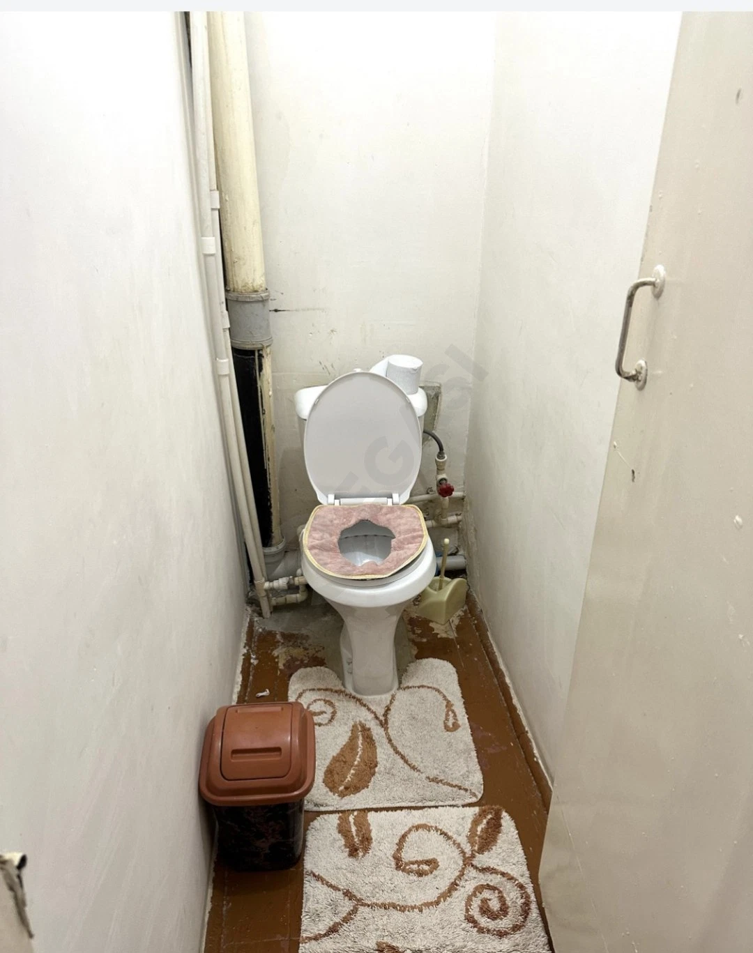 Image 8