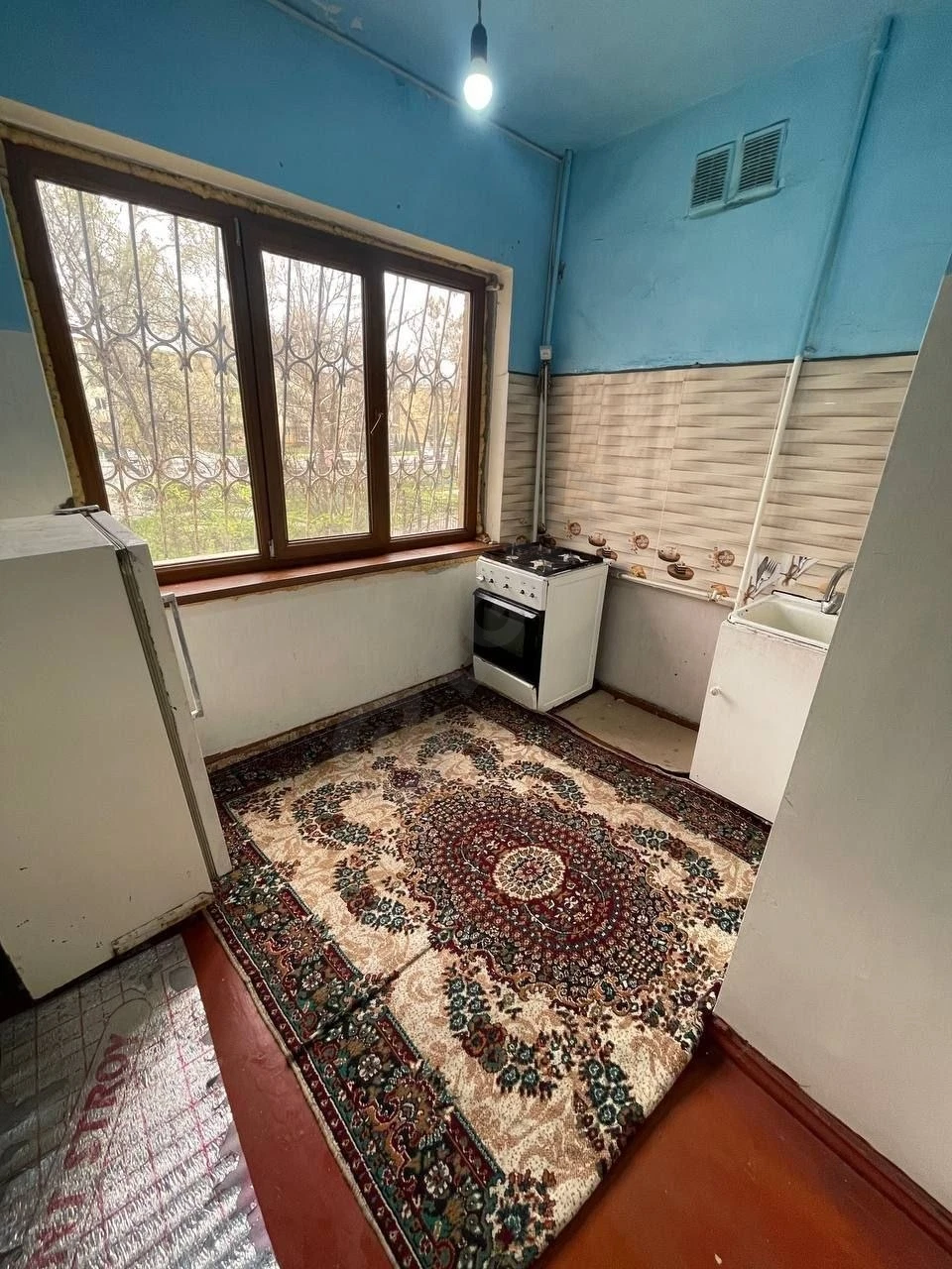 Image 6