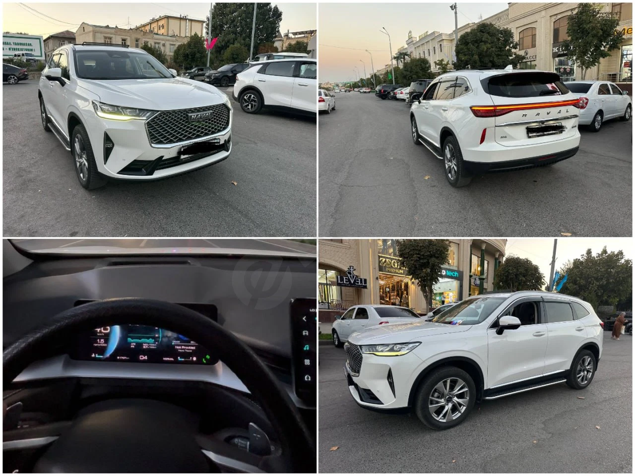 Haval H6 2022 - Cover Photo