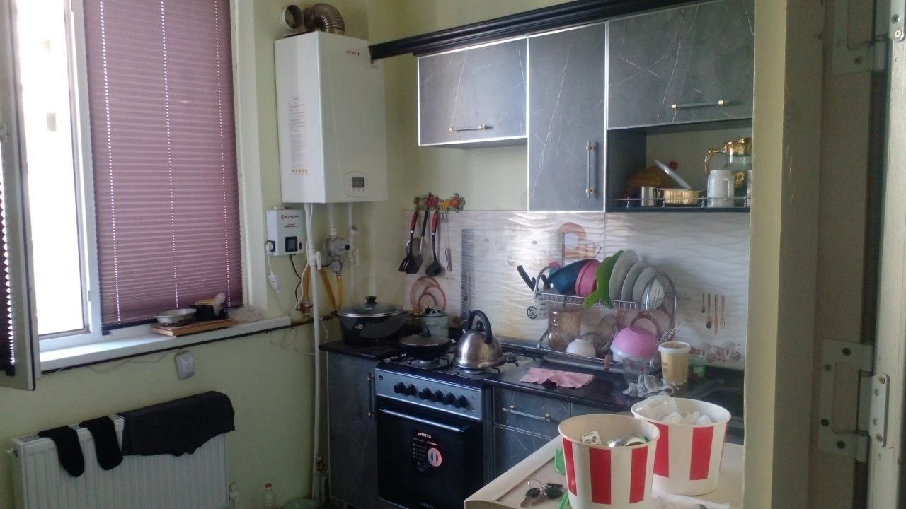 Image 5