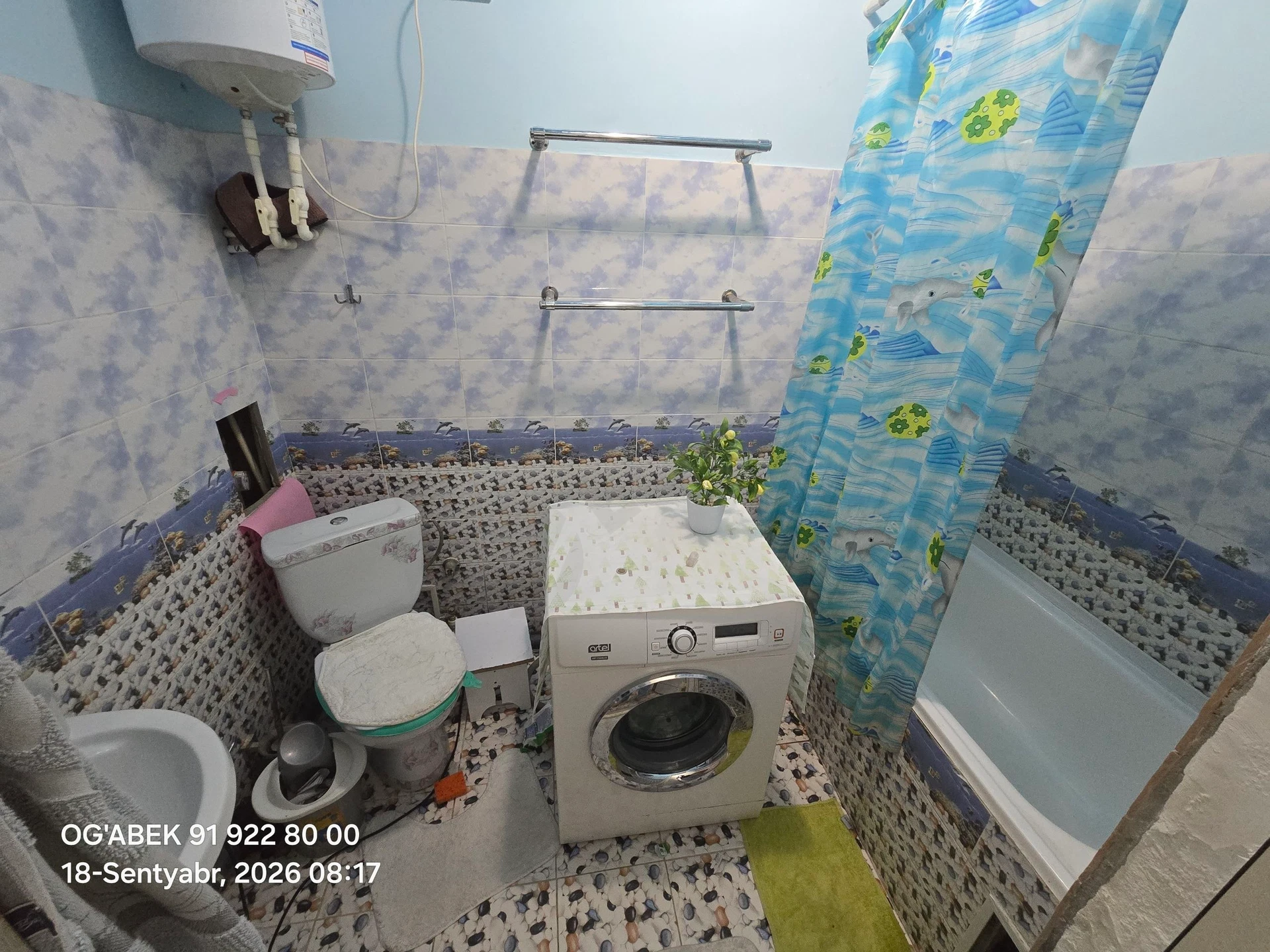 Image 7