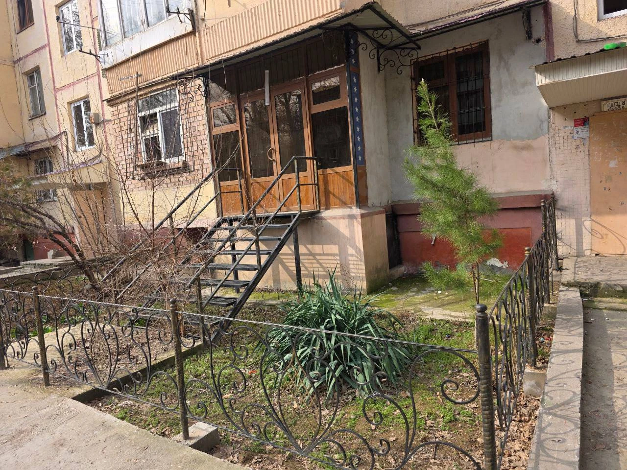Image 6