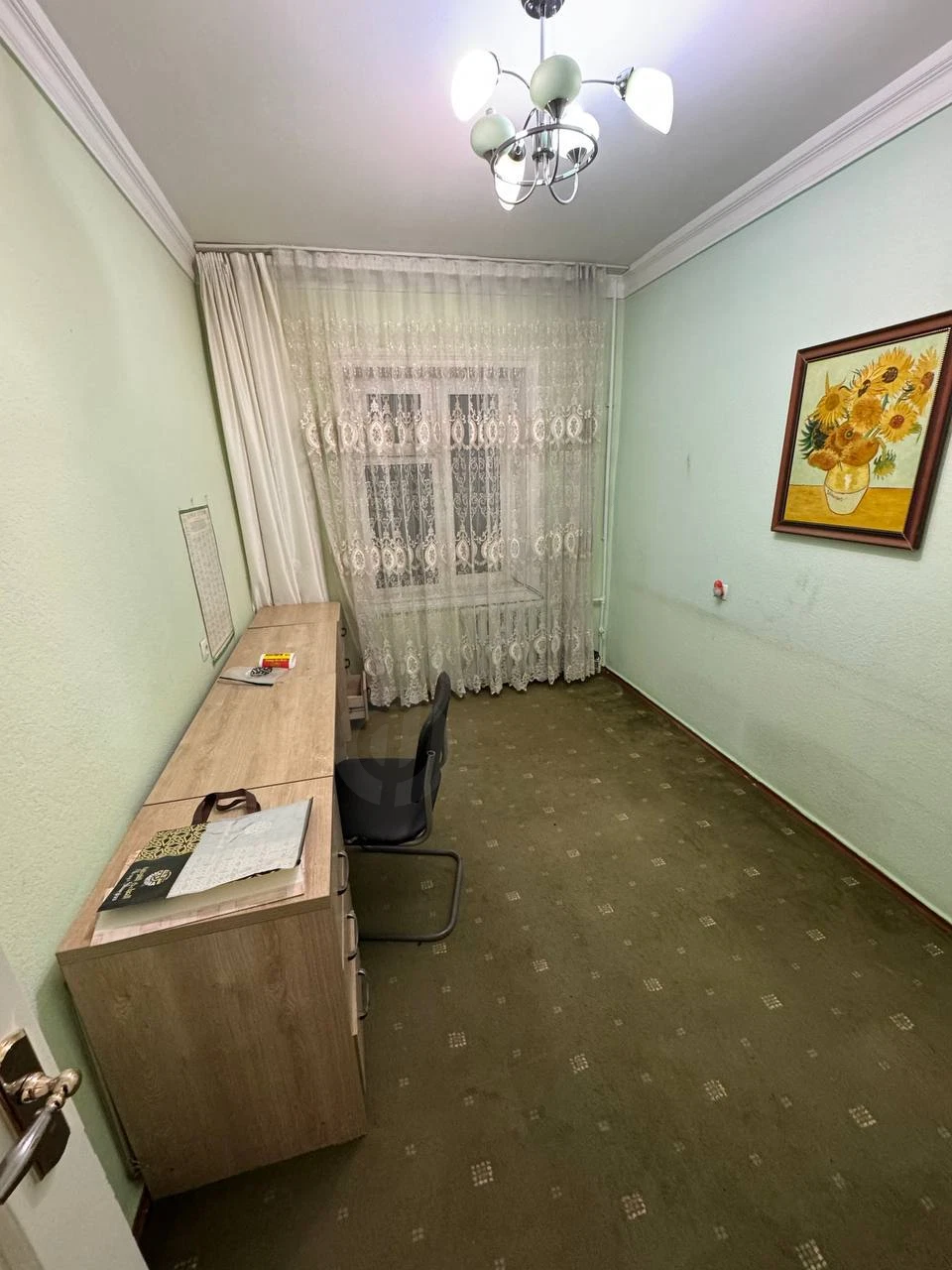 Image 7