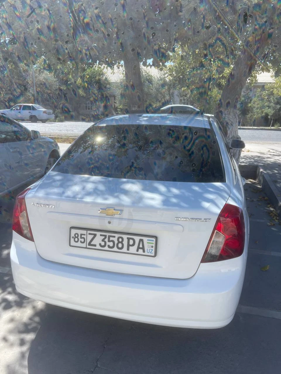 Image 7