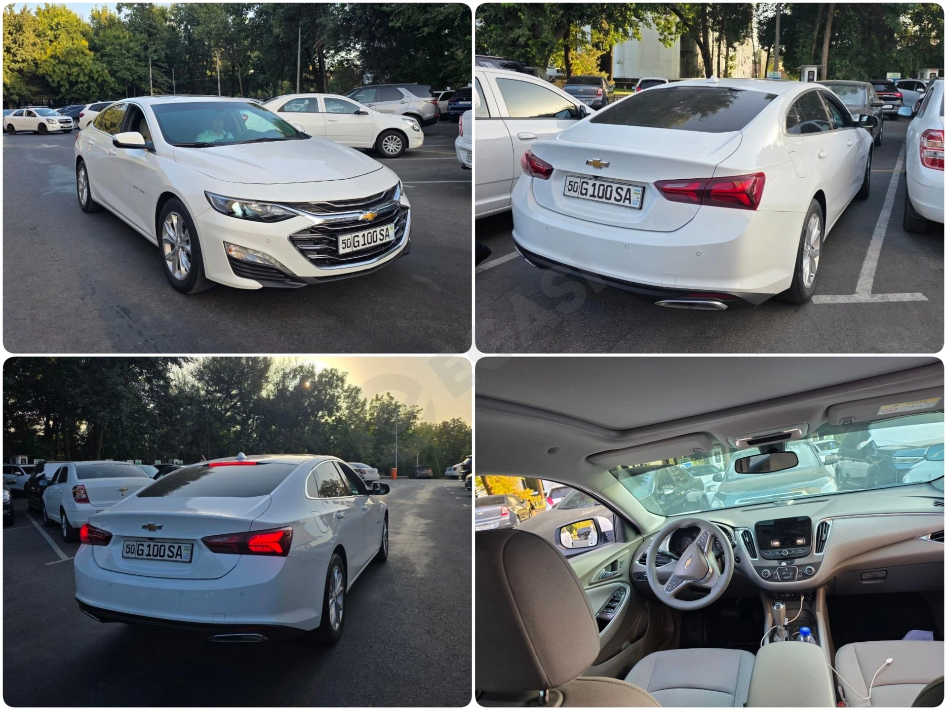 Malibu 1.5 Turbo 2020 - Cover Photo