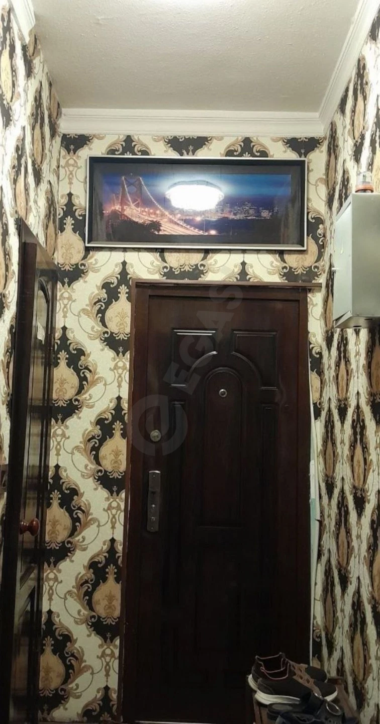 Image 6