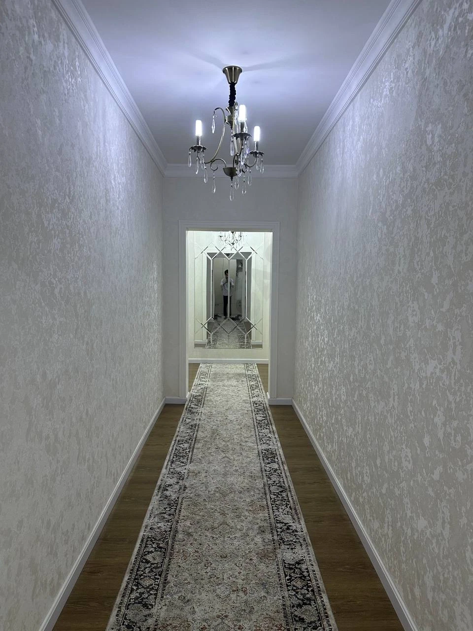 Image 8