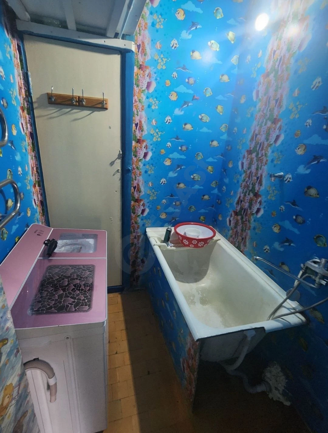 Image 5