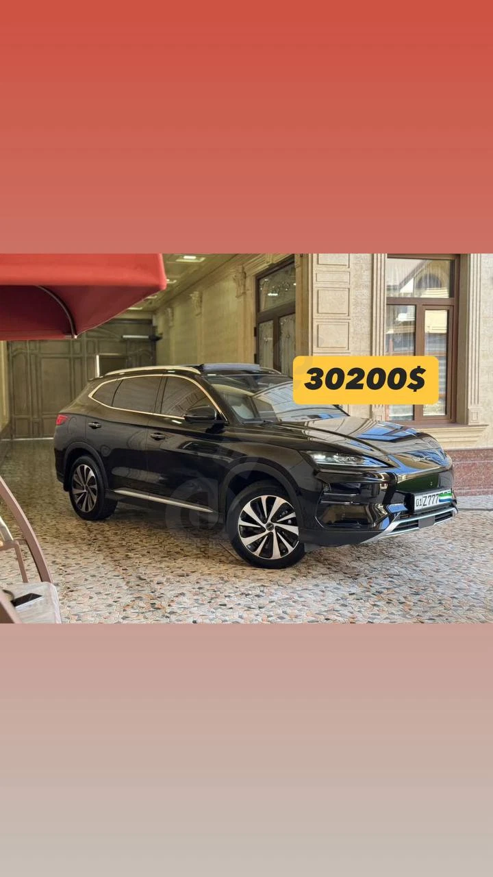 BYD Champion Honor 2024 - Cover Photo
