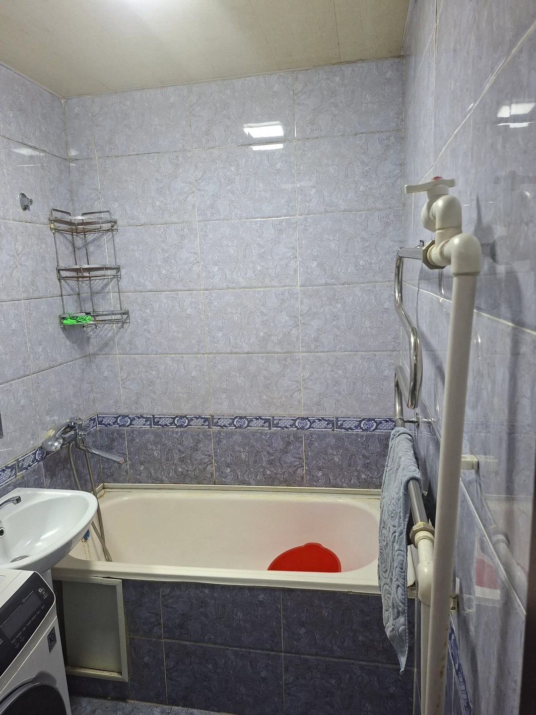 Image 5