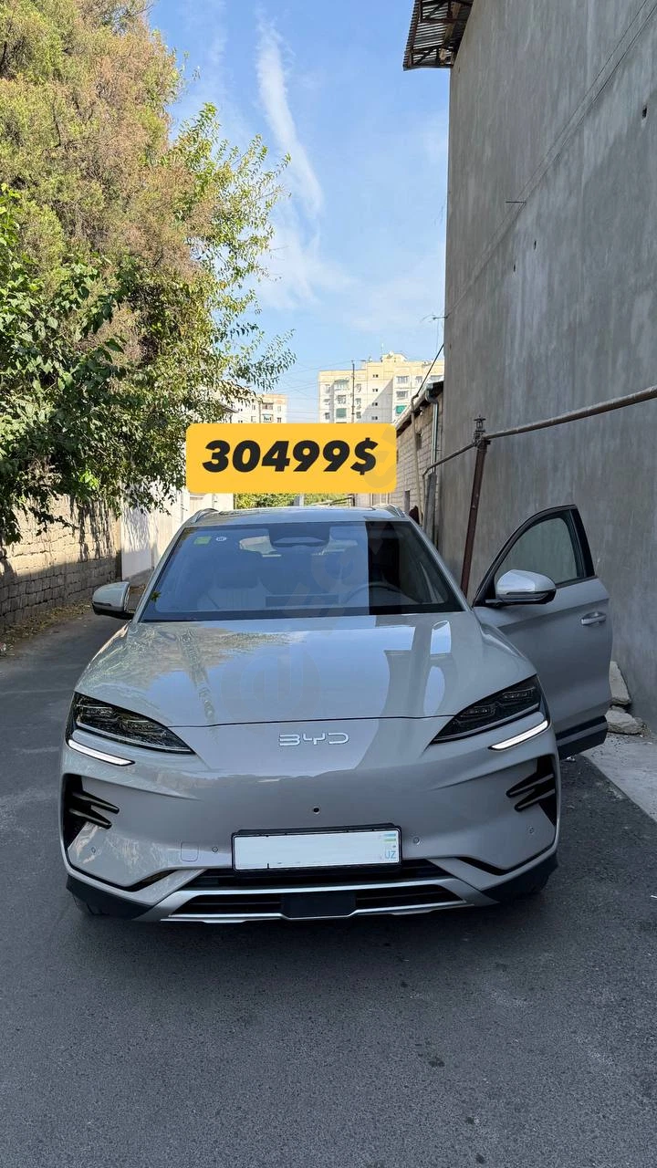 BYD Champion Smart 605 - Cover Photo