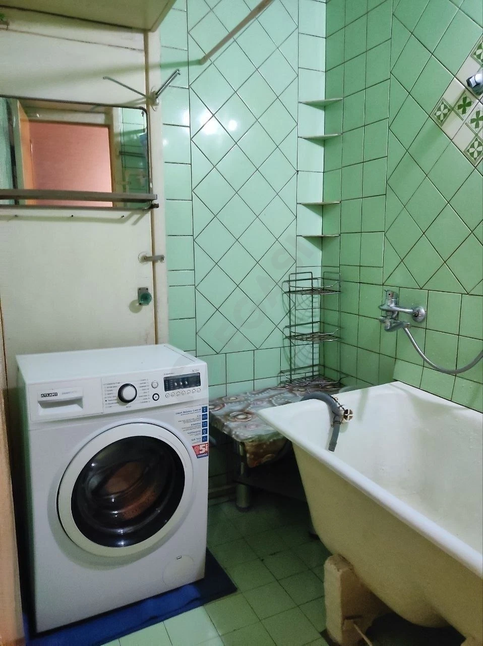 Image 7